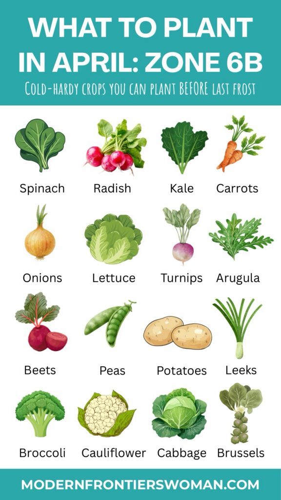 What to Plant in April Zone 6B