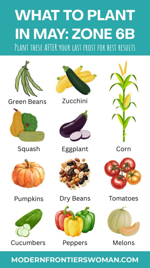 What to Plant in May Zone 6B