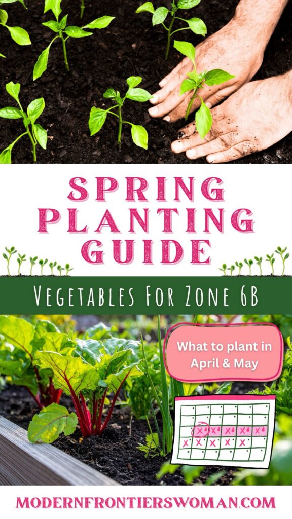 Spring Planting Guide Vegetables for Zone 6B