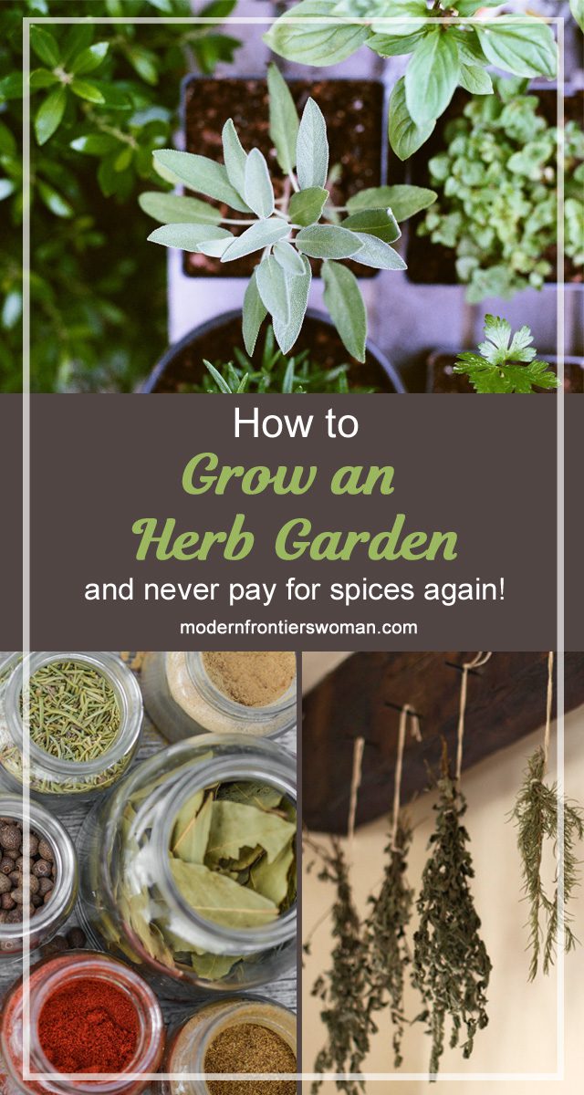 90 Unique Spices to Grow in Your Herb Garden 11 How to grow an herb garden (and never pay for spices again!)