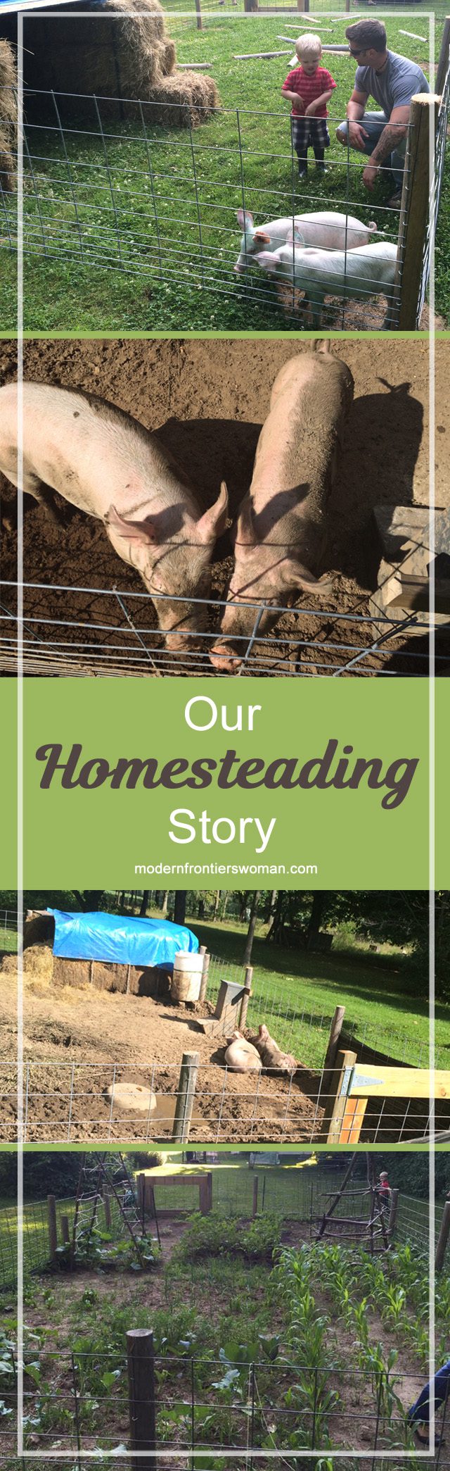 Our Homesteading Story