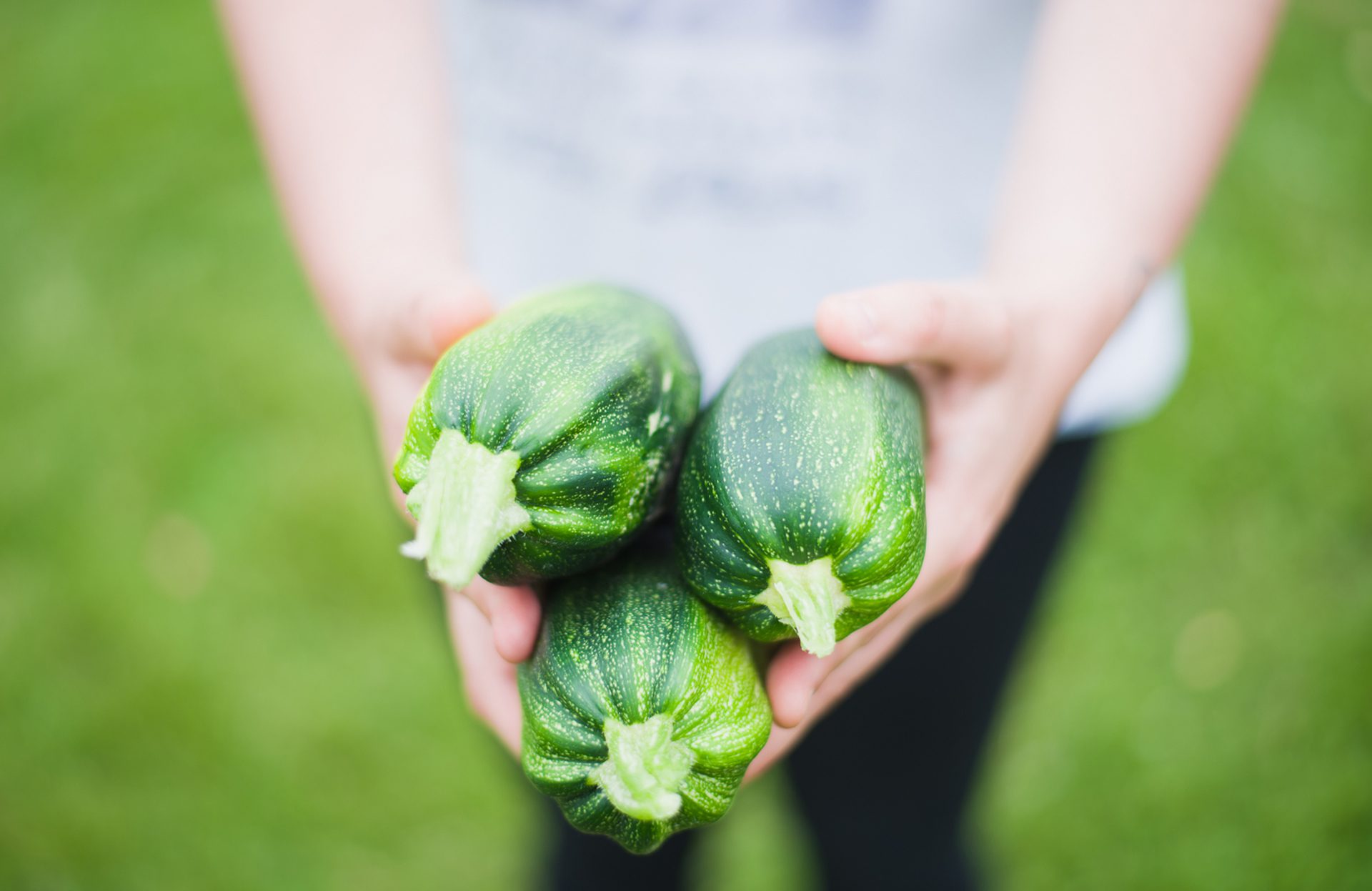 Cucumbers garden produce harvest