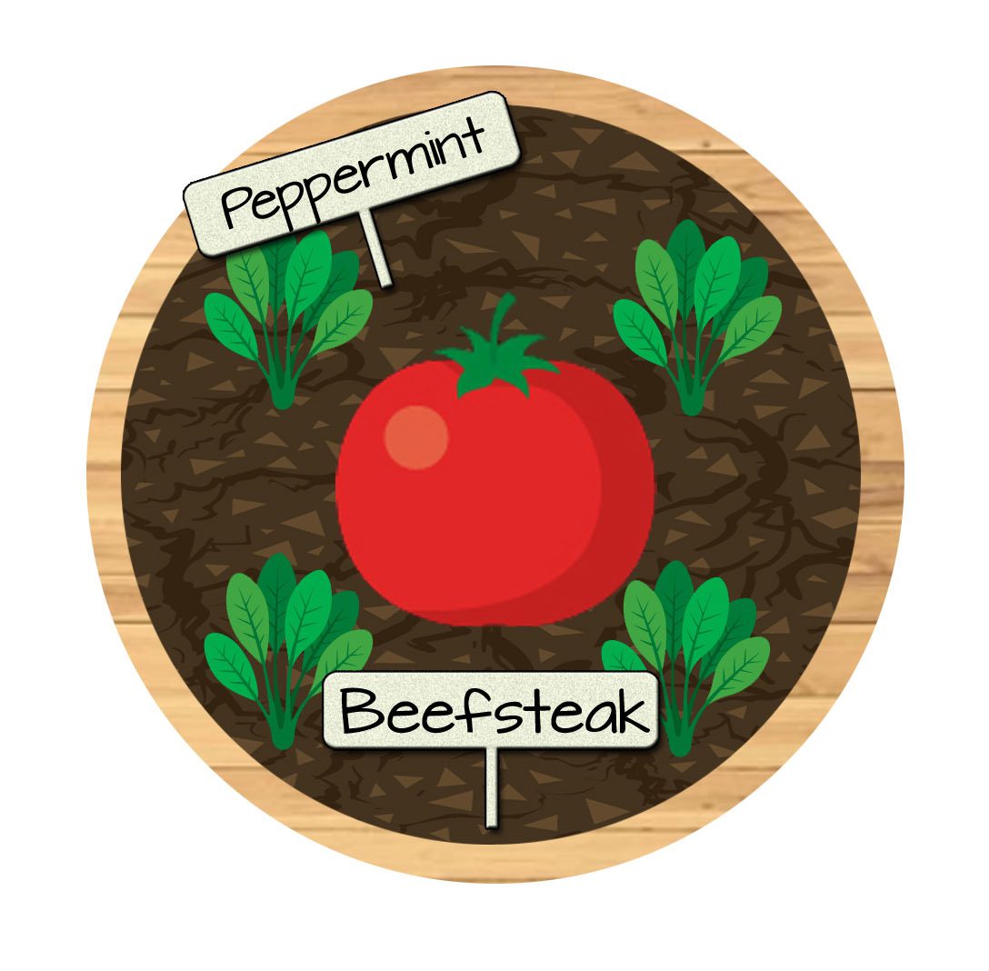 Bucket 2 - Beefsteak Tomatoes and Peppermint Raised Bed Vegetable Garden Plan