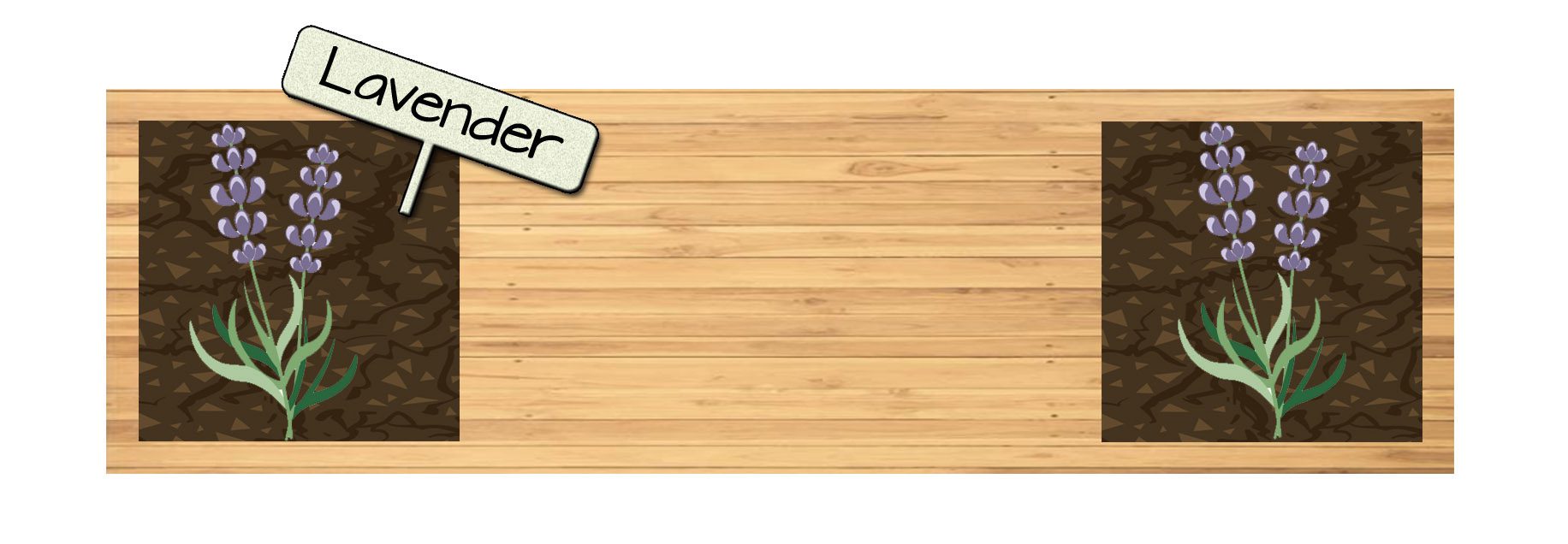 Garden Bench with Lavender Raised Bed Vegetable Garden Plan