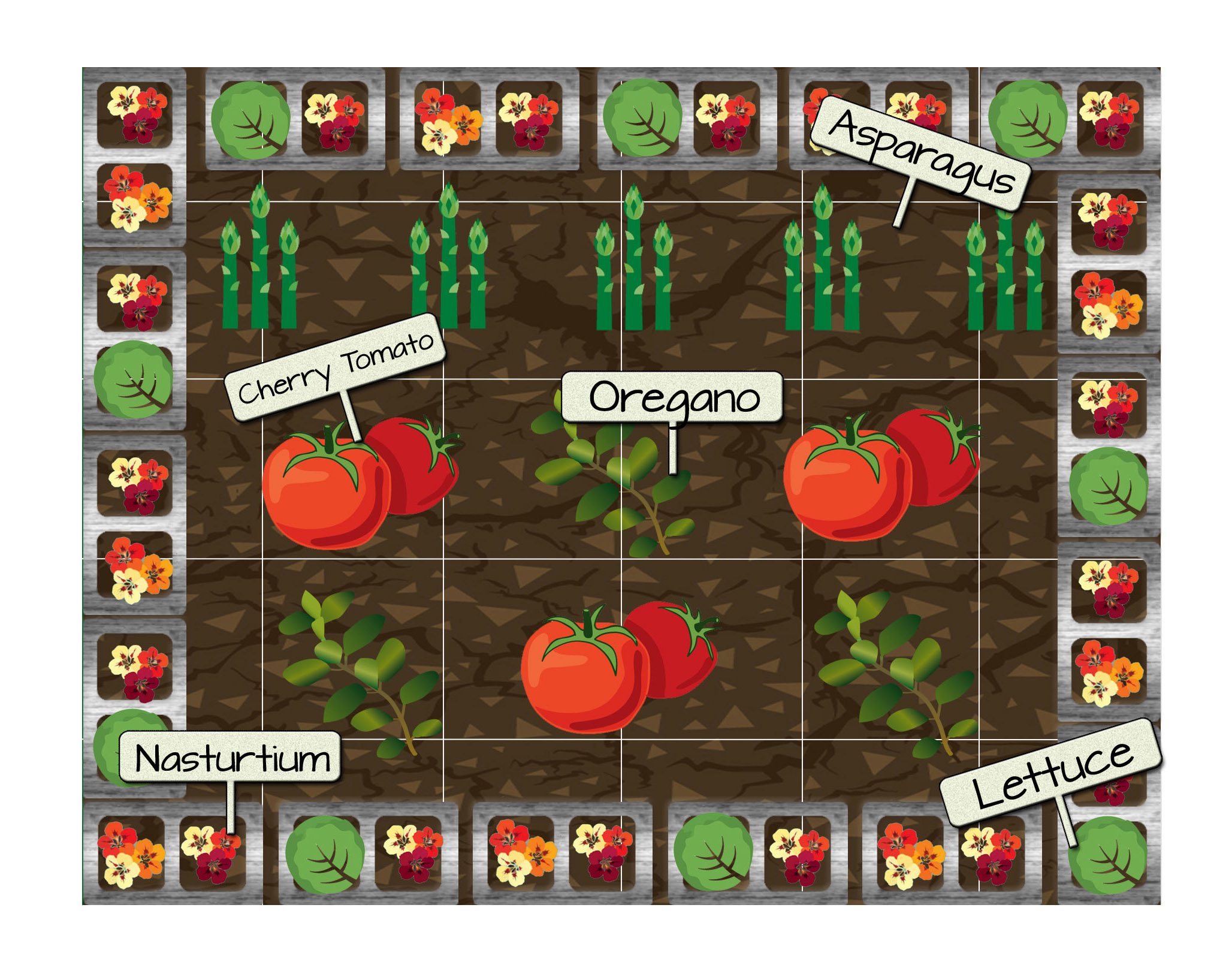 Raised Bed Vegetable Garden Plan 10 - Cherry Tomatoes, Oregano, Lettuce, Nasturtium, and Asparagus