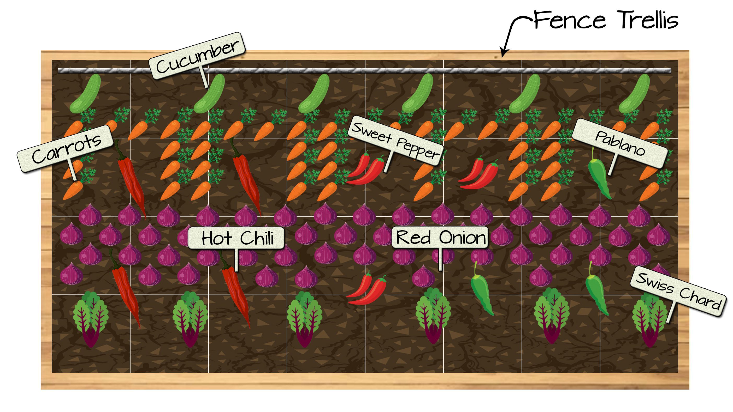 Raised Bed Vegetable Garden Plan 12 - Cucumber, Carrots, Sweet Pepper, Pablano Pepper, Hot Chili Pepper, Red Onion, and Swiss Chard