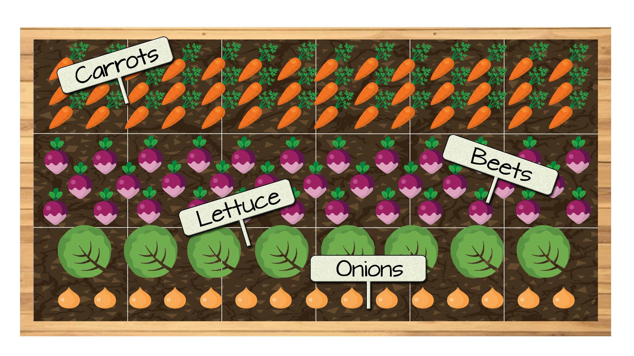 Raised Bed Vegetable Garden Plan 5 - Carrots, Beets, Lettuce, and Onions