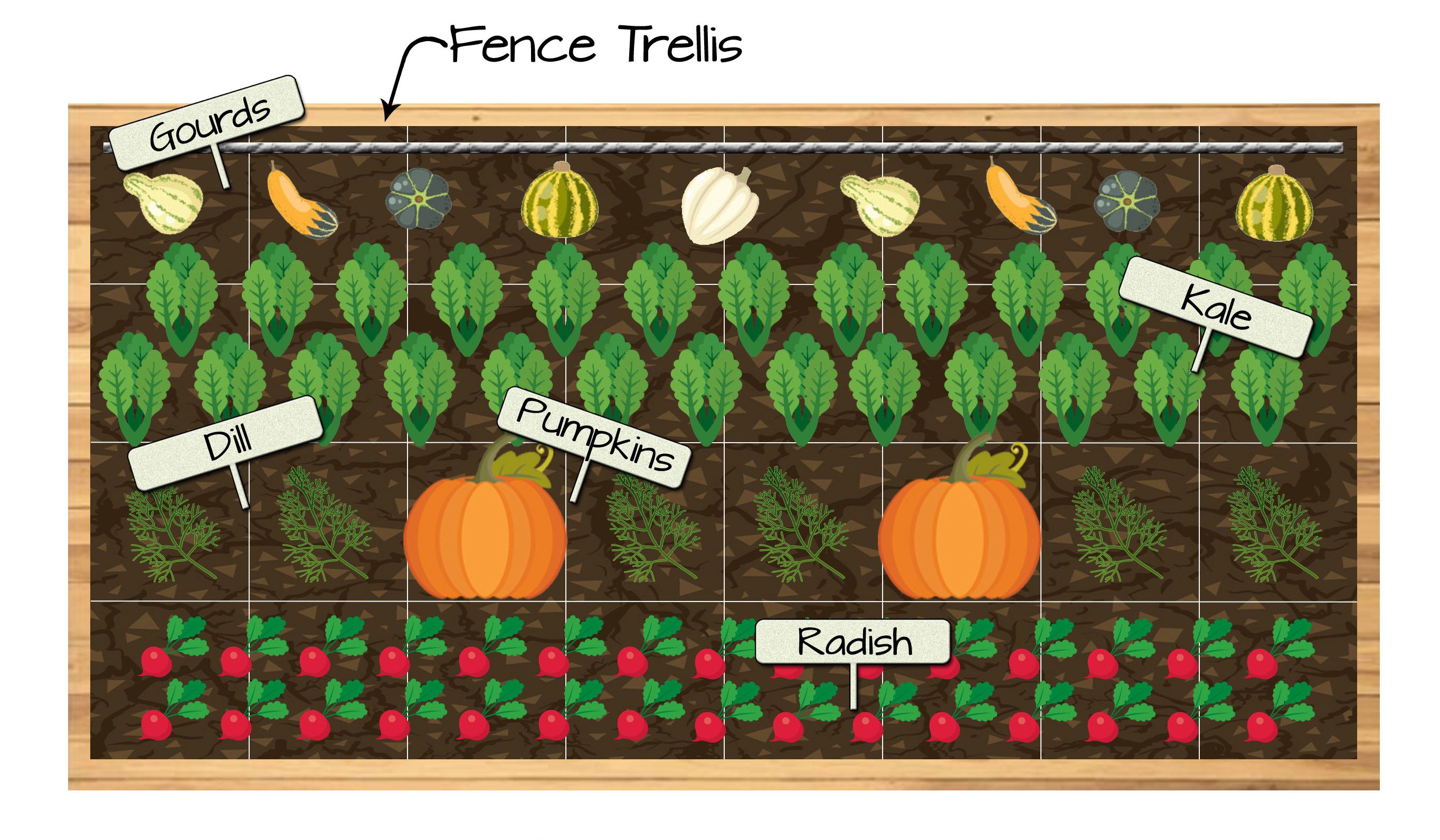 Raised Bed Vegetable Garden Plan 7 - Gourds, Pumpkins, Kale, Dill, and Radish