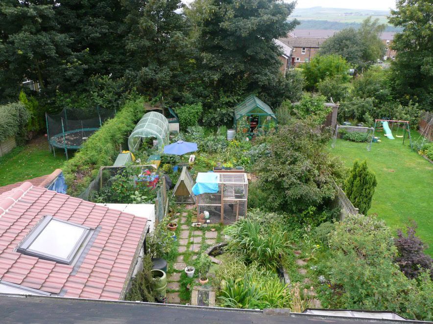 Permaculture design in backyard urban homestead farm My Passion for Permaculture (and how to apply it to your homestead)!