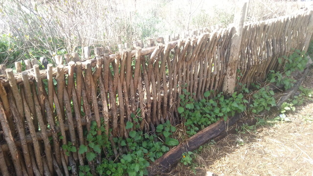 woven wattle wood fence