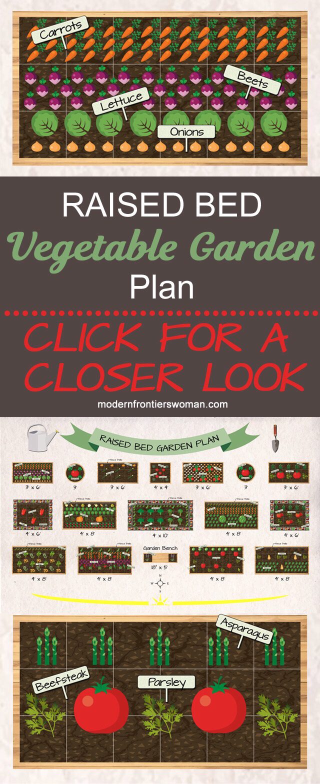 Raised Bed Vegetable Garden Plan - Click for a closer look!