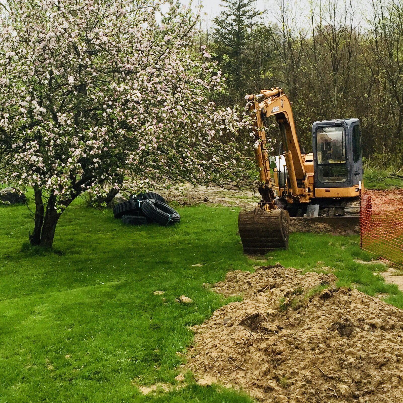 Geothermal coils and backhoe digging next to apple tree
