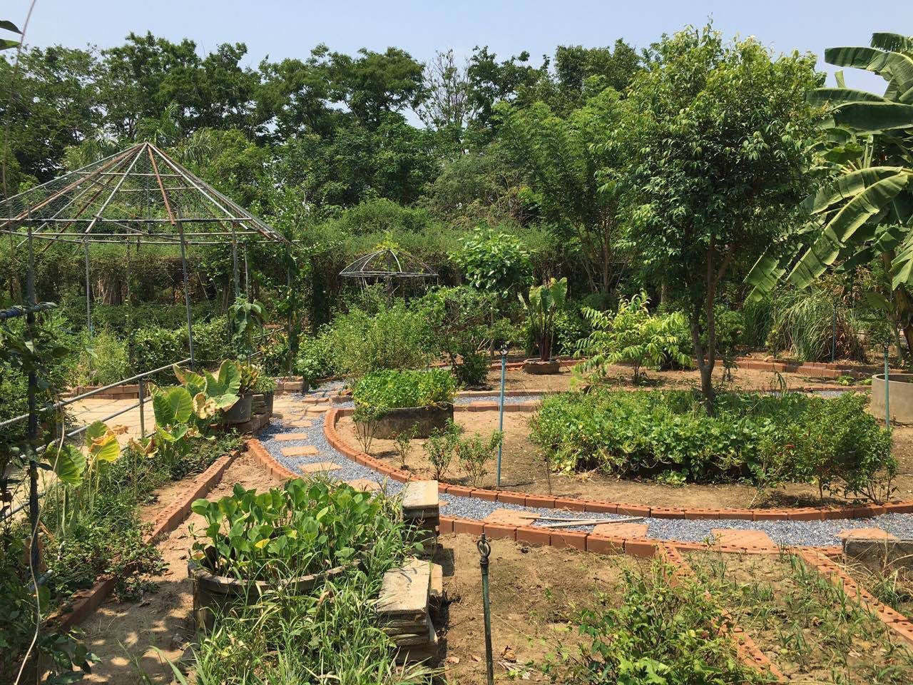 img 2859 Gardening 101: 9 Simple Steps to a Fantastic First Season!