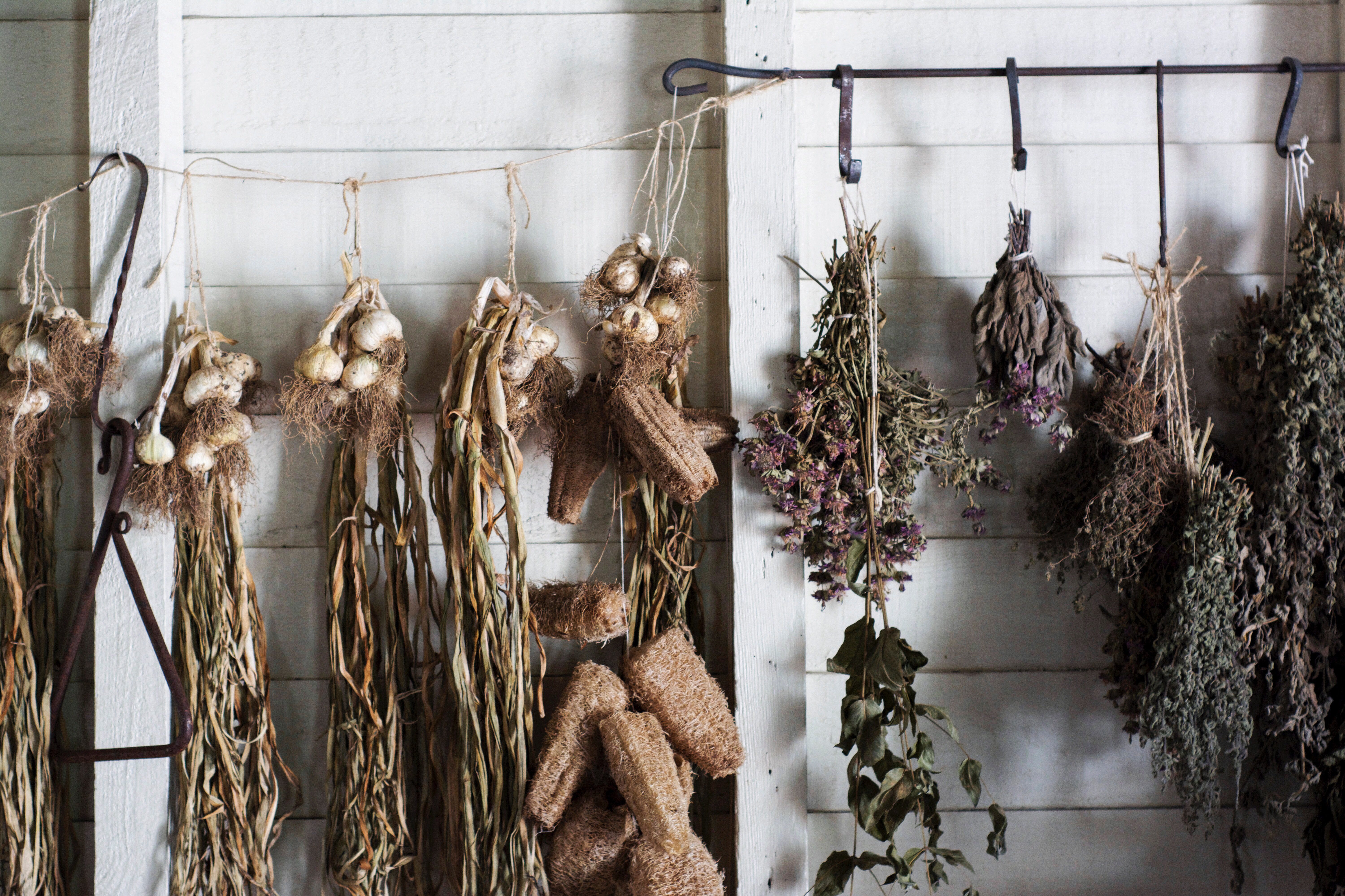 8 Ways to Preserve Your Harvest 15 Hanging herbs vegetables garlic air drying 8 Ways to Preserve Your Harvest