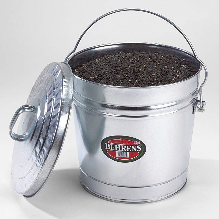 6 Gallon Metal Bucket with Lid and dirt (2)
