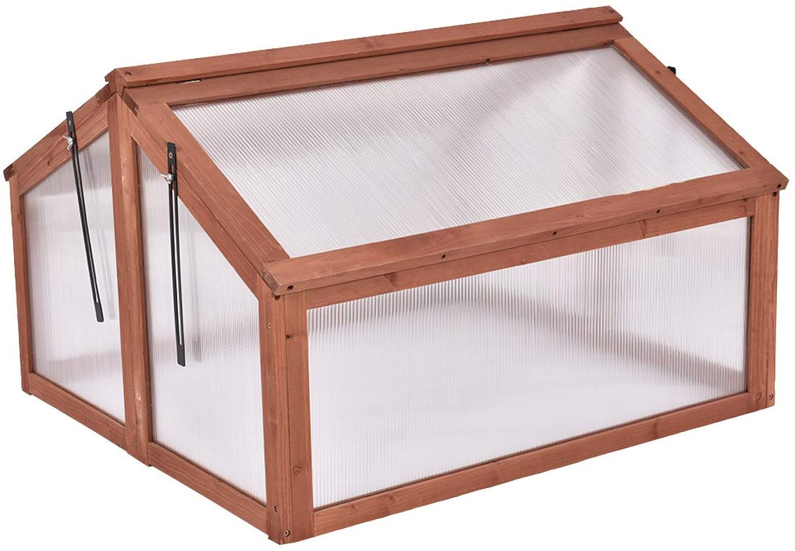Cold Frame Terrarium