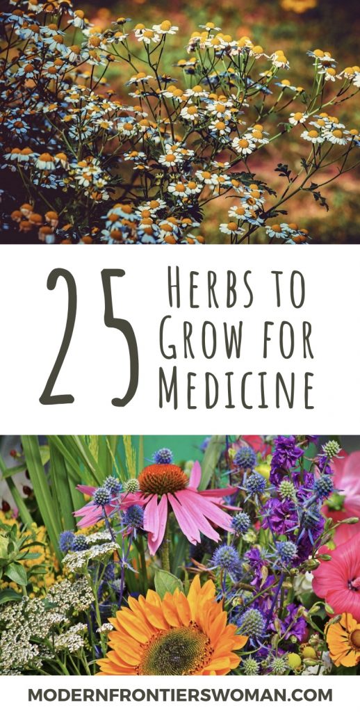 25 Herbs to Grow for Medicine Pin Planning a Survival Garden for Food and Medicine