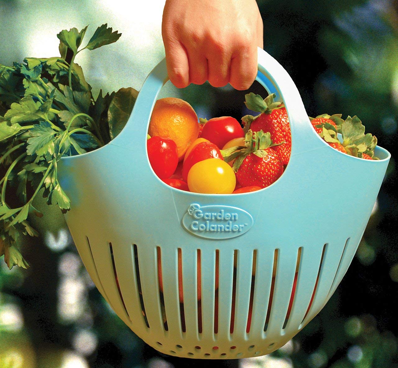 Garden Colander 2