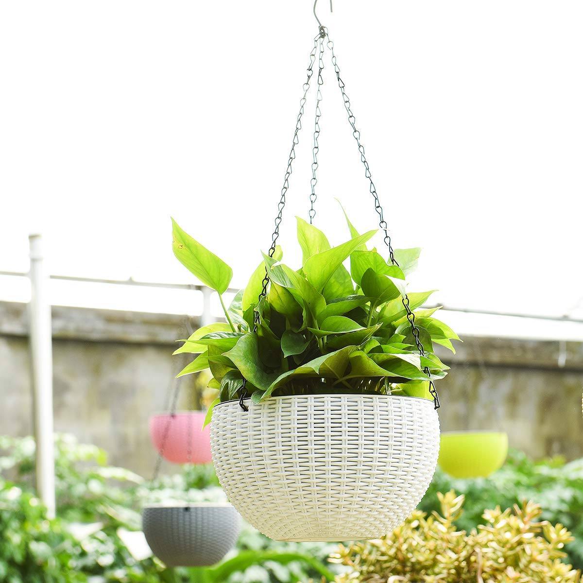 Hanging basket self watering