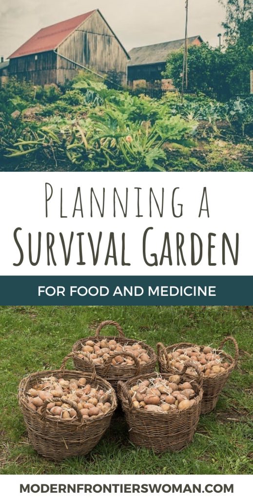 Planning a Survival Garden Pin Planning a Survival Garden for Food and Medicine