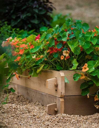 Raised Bed
