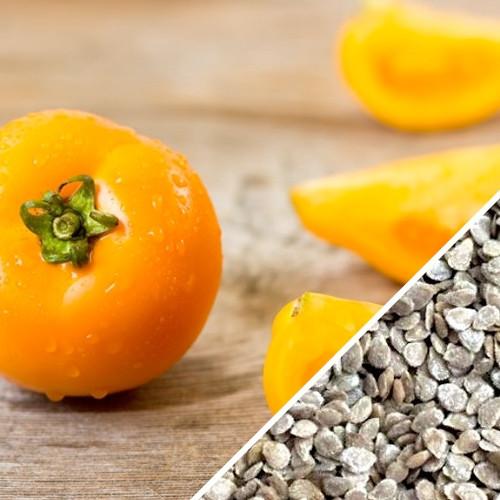 How to Grow Tomatoes 9 Tomato How to Grow Tomatoes