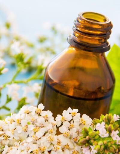 Yarrow Tincture for Healing Wounds Planning a Survival Garden for Food and Medicine