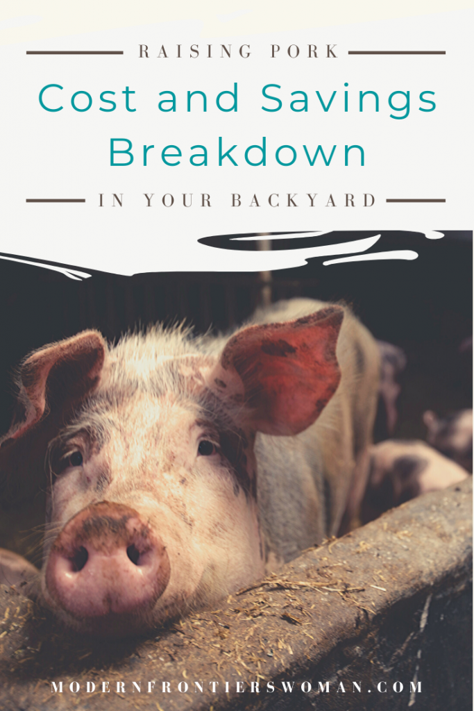 Raising pork in your backyard cost and savings breakdown