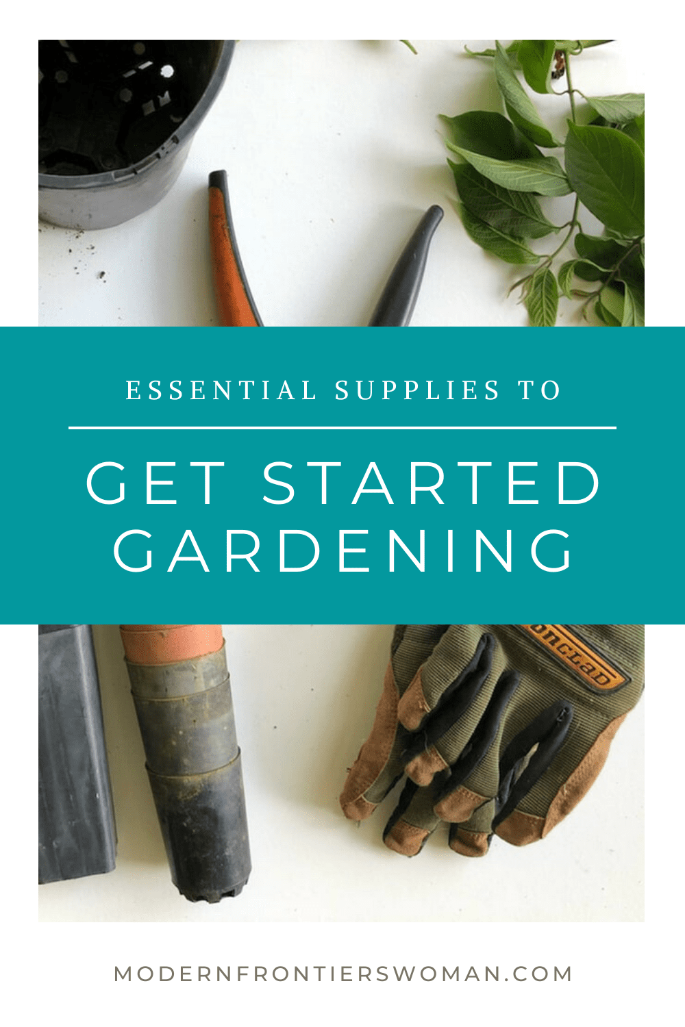 img 0829 Veggie Garden Supply List (includes starting seeds indoors)