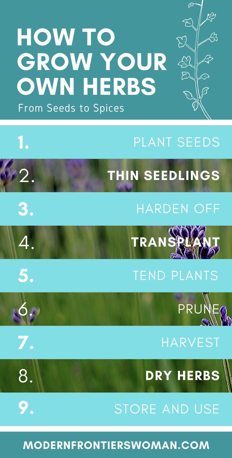 img 0837 The Ultimate Guide to Planting an Herb Garden