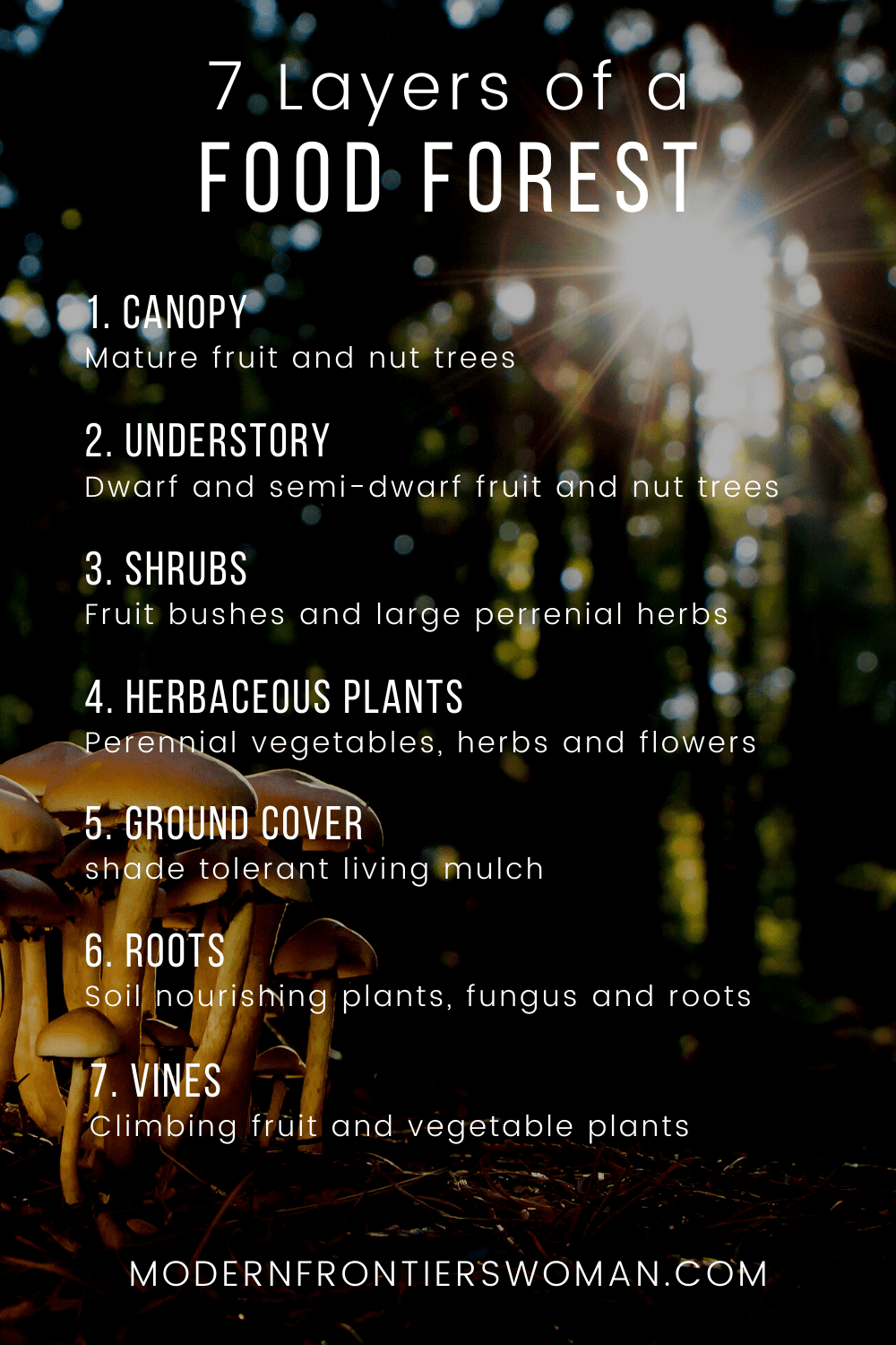 Permaculture food forest 7 layers  My Passion for Permaculture (and how to apply it to your homestead)!