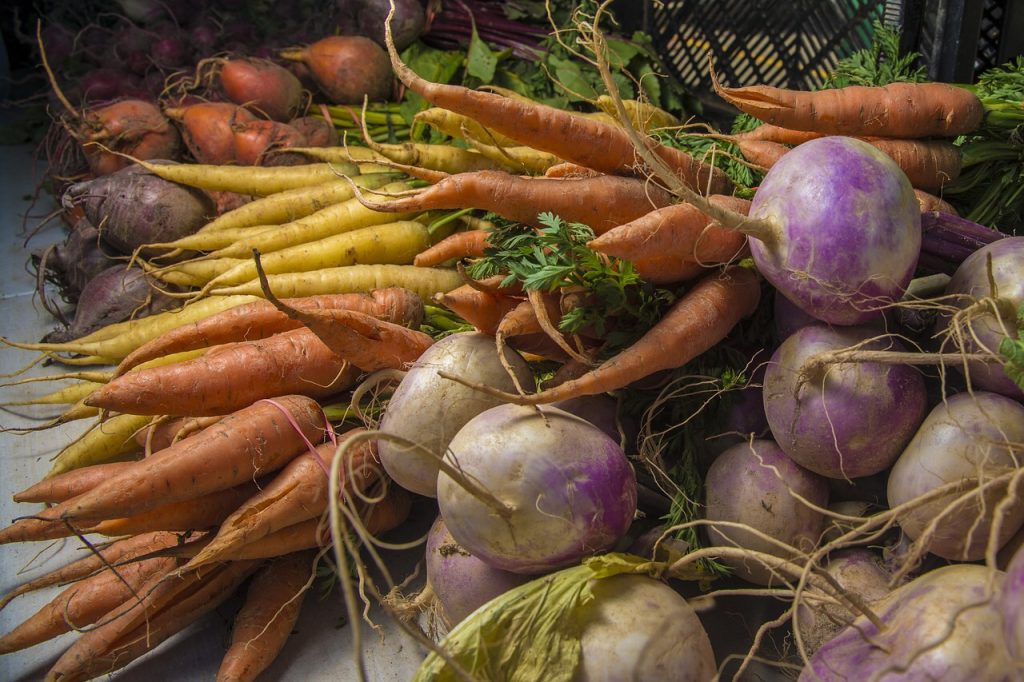 Root Vegetables Planning a Survival Garden for Food and Medicine