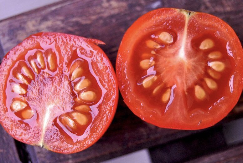 Tomato Seeds in Fruit Planning a Survival Garden for Food and Medicine