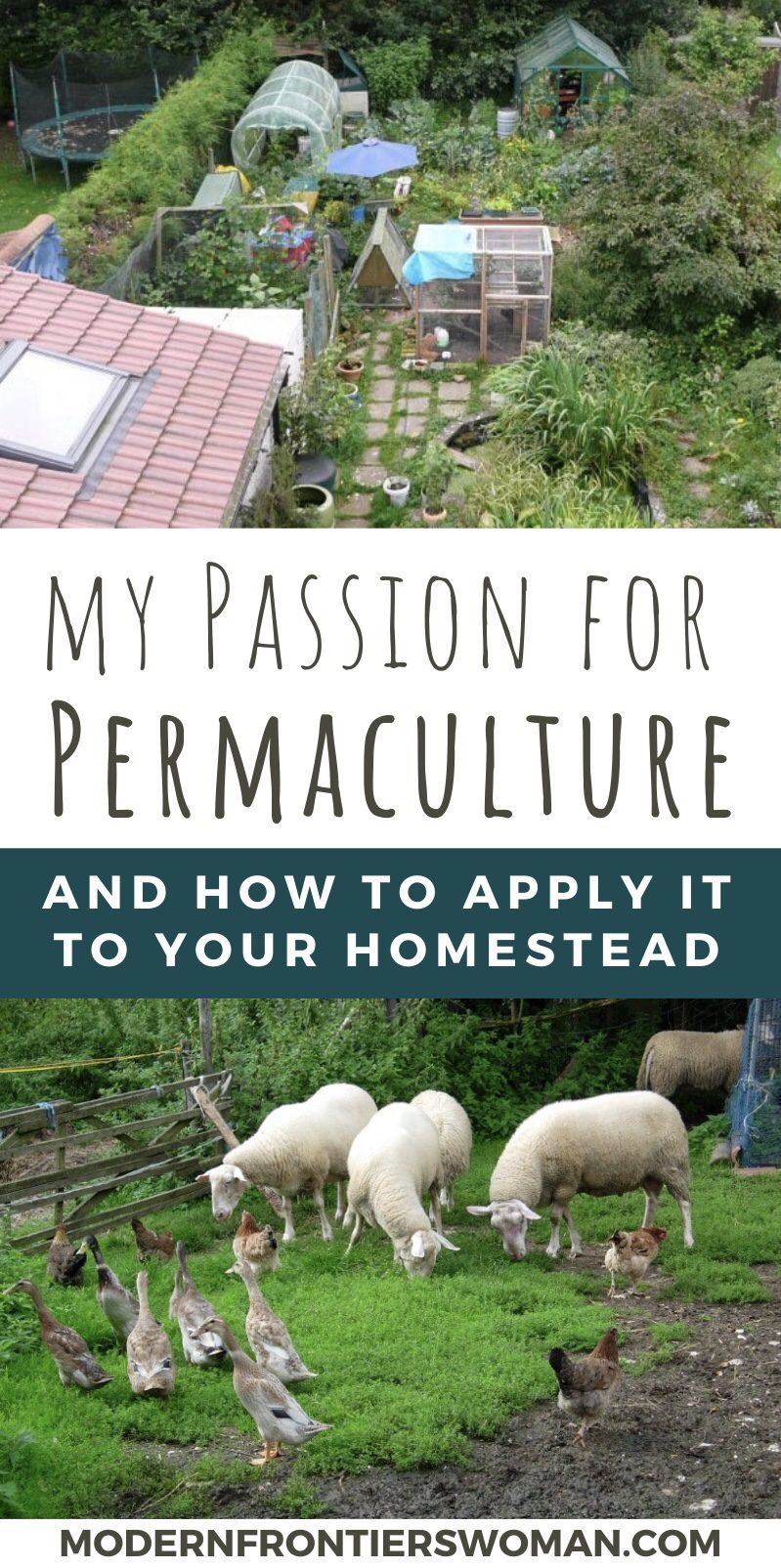 My Passion for Permaculture (and how to apply it to your homestead)!