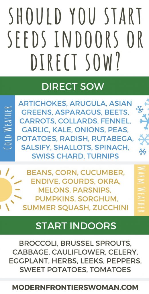 How to Start Seeds Indoors and Keep Them Alive! Should you start seeds indoors or direct sow?