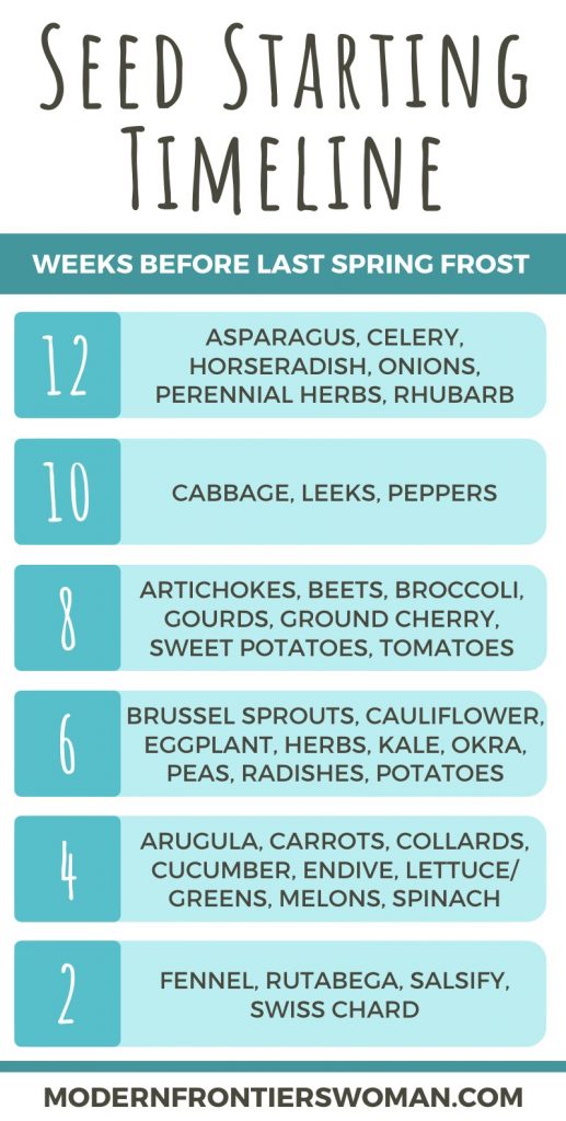 How to Start Seeds Indoors and Keep Them Alive! Seed Starting Timeline