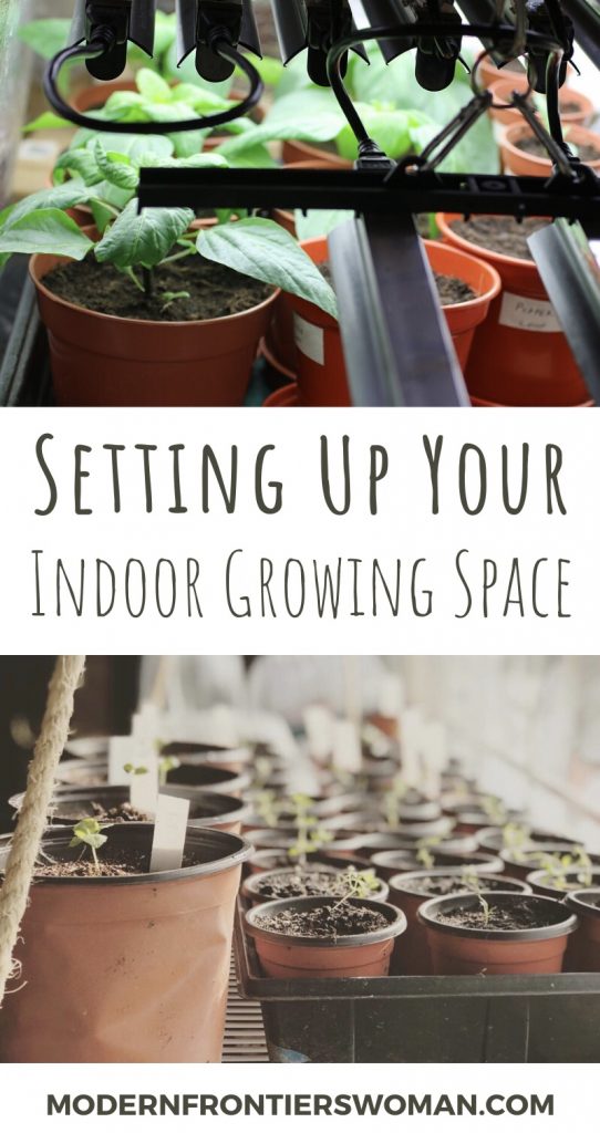 Setting up your indoor growing space How to Start Seeds Indoors and Keep Them Alive!