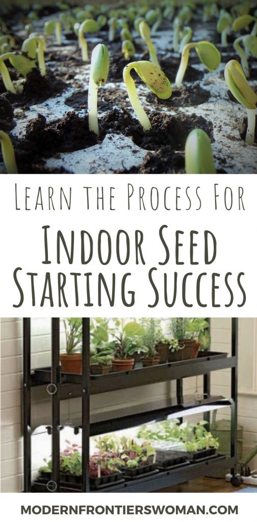 Learn the process for indoor seed starting success How to Start Seeds Indoors and Keep Them Alive!