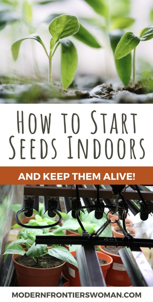 How to Start Seeds Indoors and Keep Them Alive!