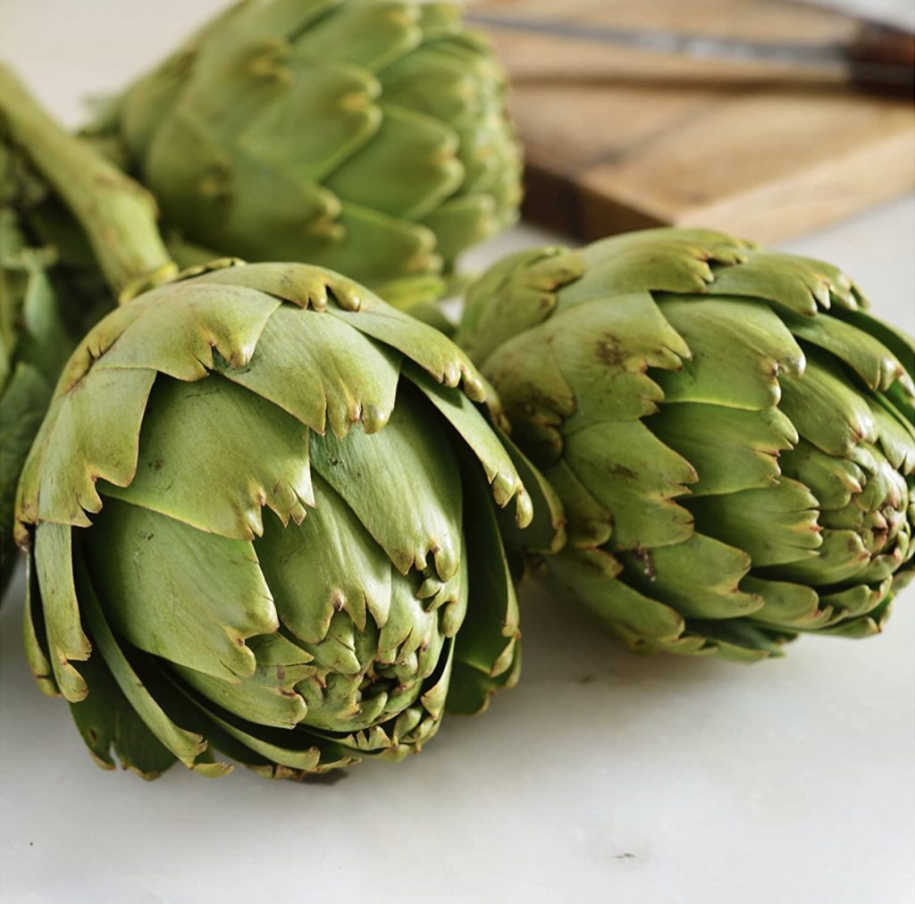 Globe Artichoke