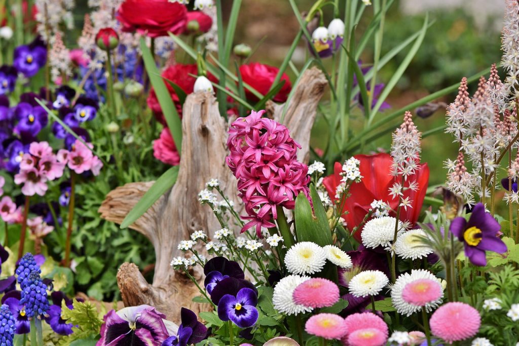 Top 20 Flowers for a Cottage Garden
