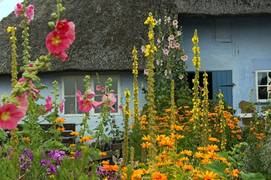 Top 20 Flowers for a Cottage Garden