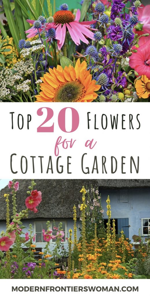 Top 20 Flowers for a Cottage Garden