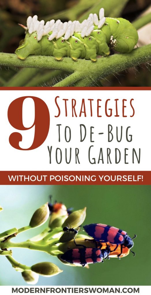 9 Strategies to De-Bug Your Garden
