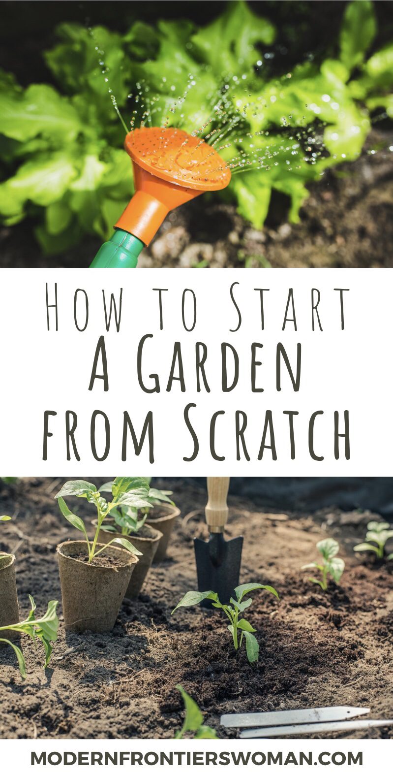 img 1712 Gardening 101: 9 Simple Steps to a Fantastic First Season!