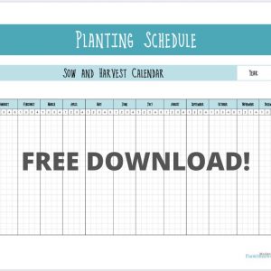 The Ultimate List of Gardening Skills 29 Succession Planting Schedule Free Printable