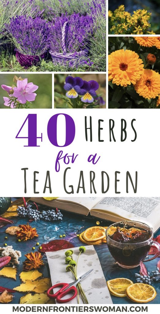 40 Herbs for a Tea Garden How to Grow a Medicinal Tea Garden (Plus over 40 Plants!)