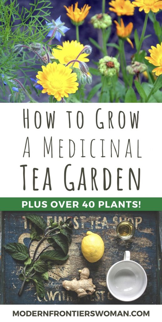 How to Grow a Medicinal Tea Garden (Plus over 40 Plants!)