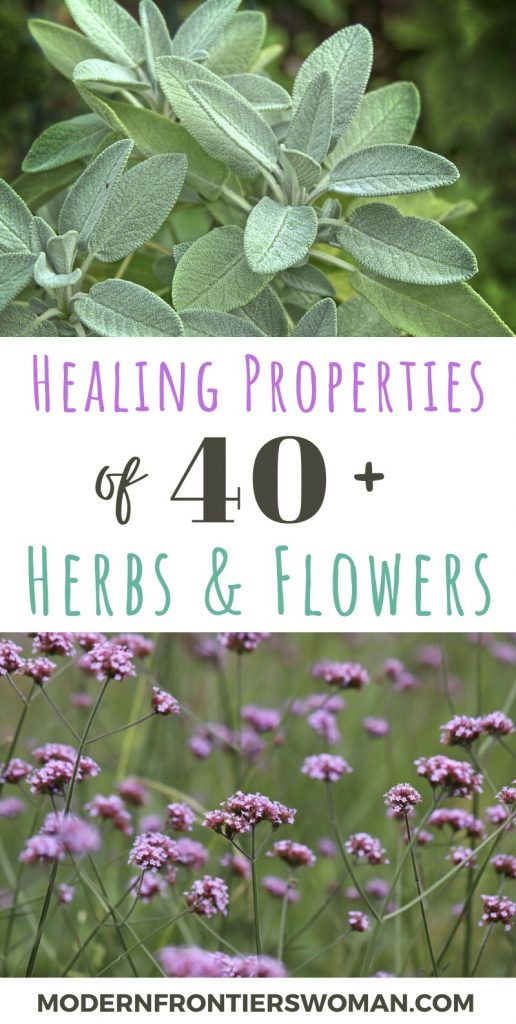 How to Grow a Medicinal Tea Garden (Plus over 40 Plants!) Healing Properties of 40+ Plants and Flowers