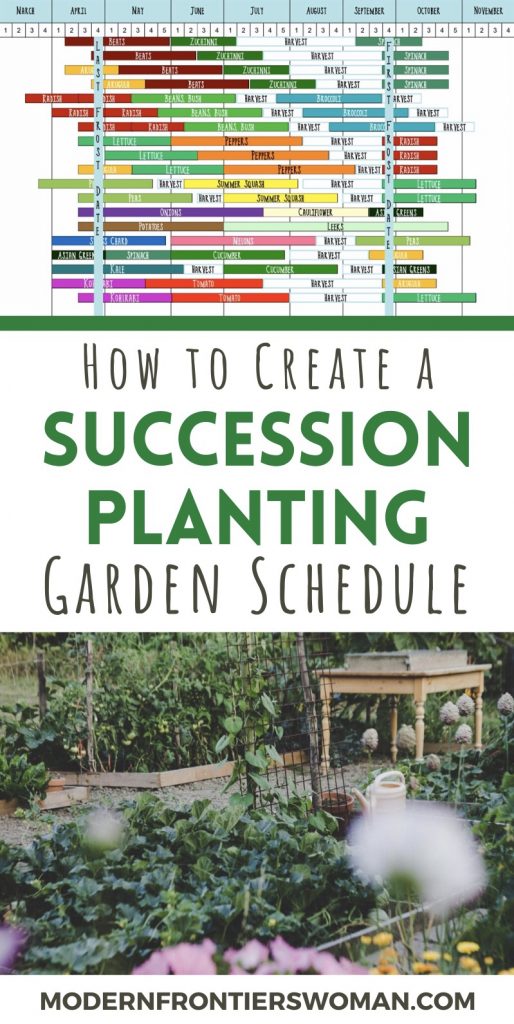 How to Make a Succession Garden Schedule 17 how to create a succession garden schedule planting How to Make a Succession Garden Schedule